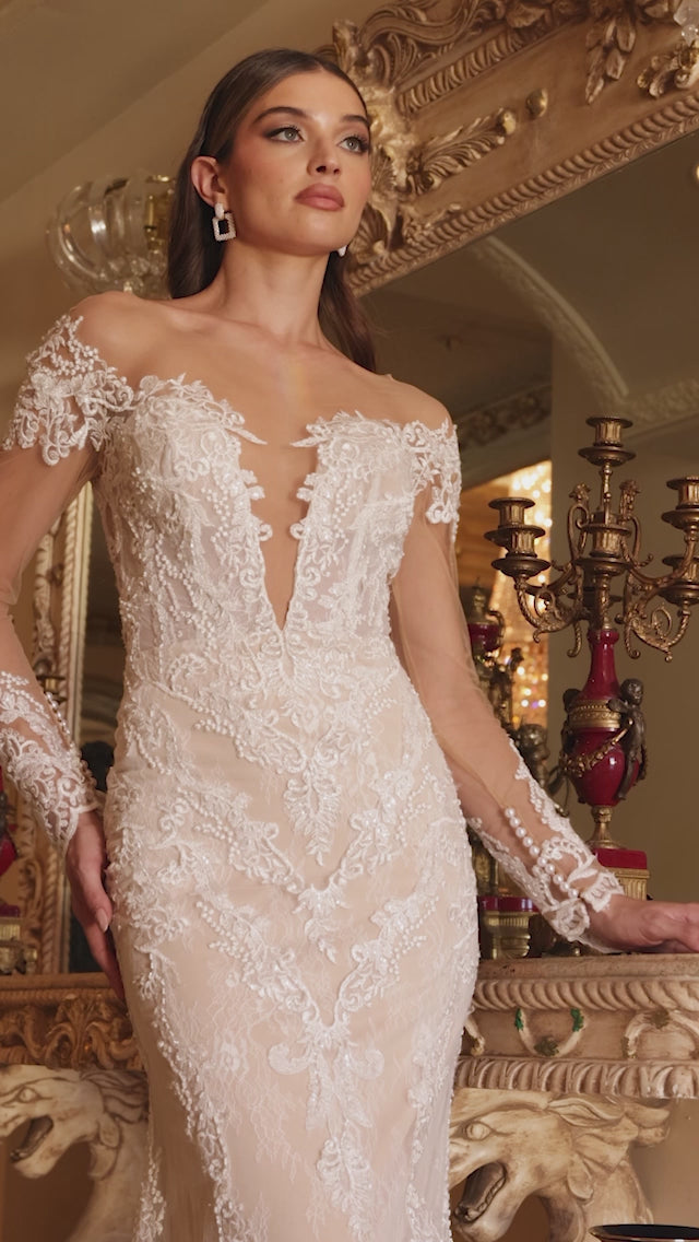 Elegant Lace Wedding Dress with Illusion Sleeves_LD A1022