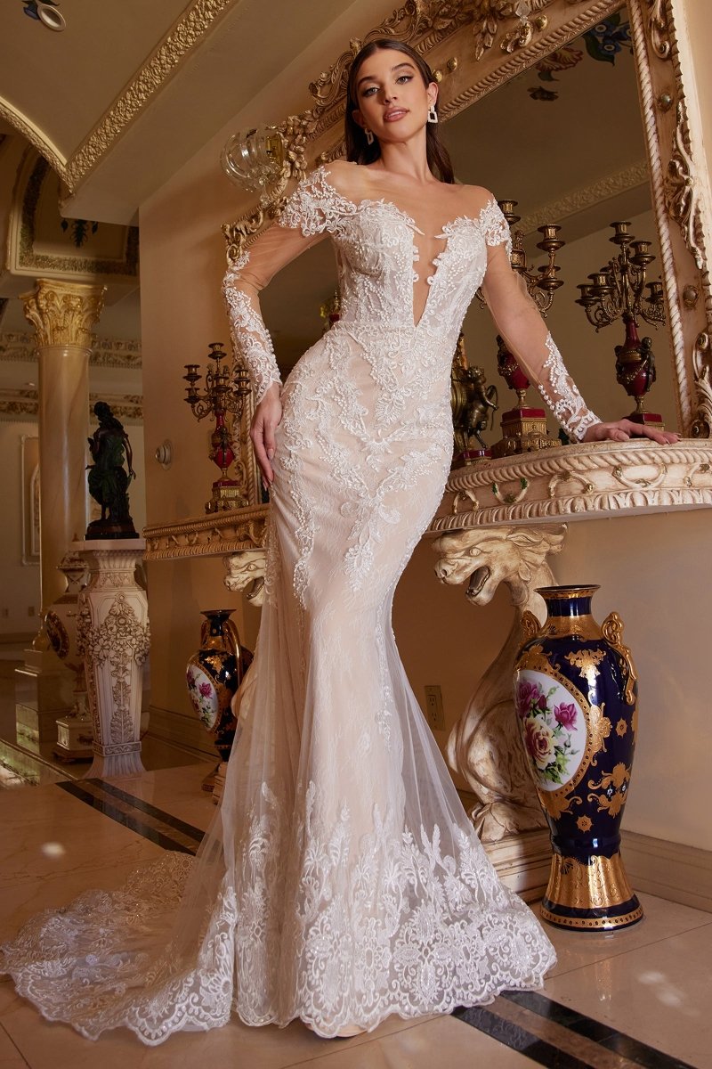 Elegant Lace Wedding Dress with Illusion Sleeves_LD A1022