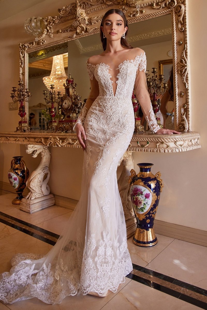 Elegant Lace Wedding Dress with Illusion Sleeves_LD A1022