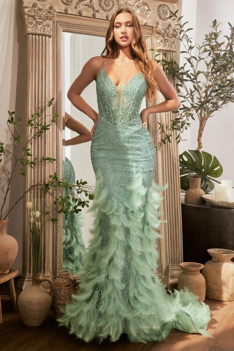 Elegant Feathered Prom Dress with Beaded Detail_LD CC1608