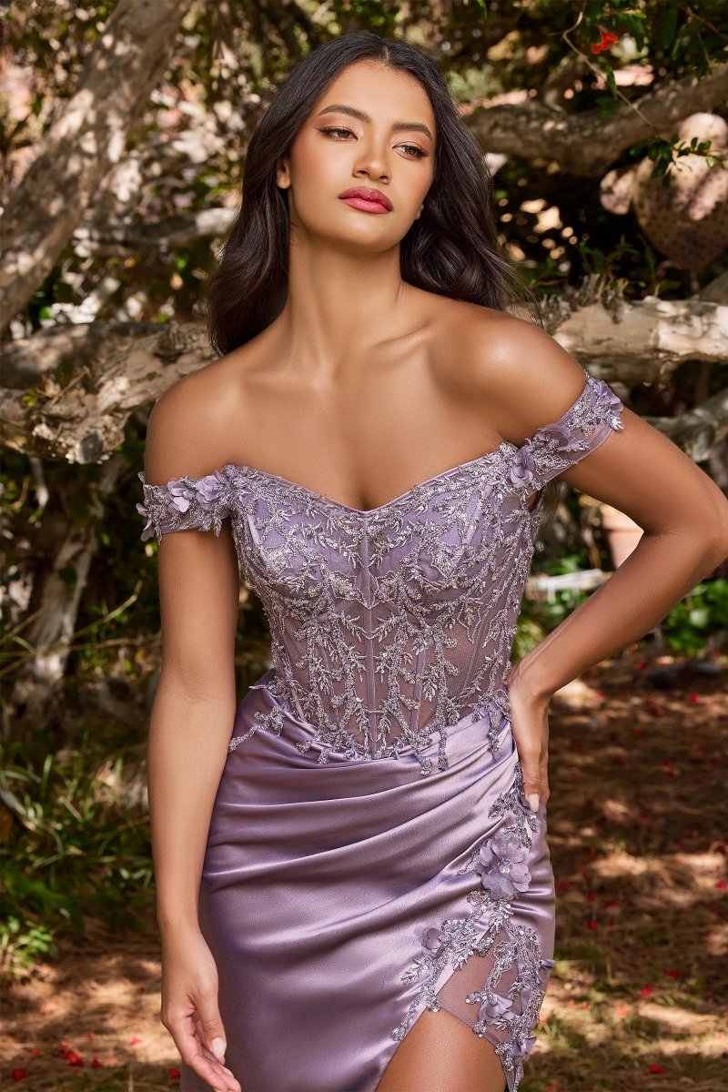 Elegant Off-Shoulder Embellished Prom Dress_LD CD0186