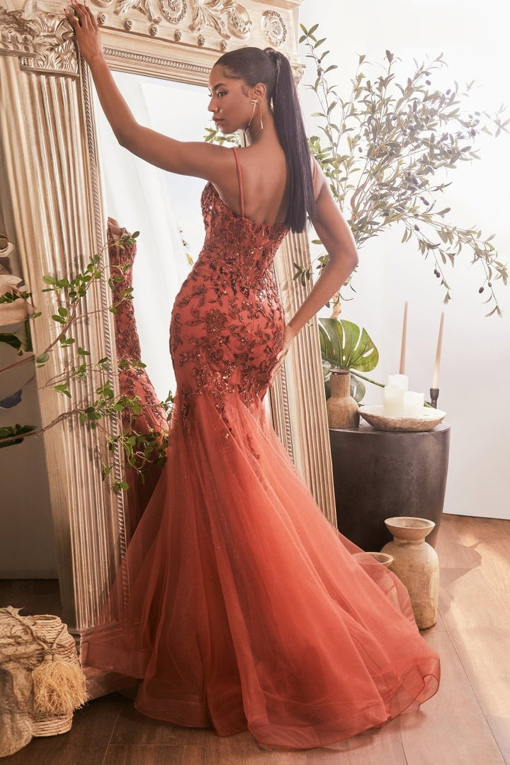 Embroidered Lace Mermaid Prom Dress_LD CDS488