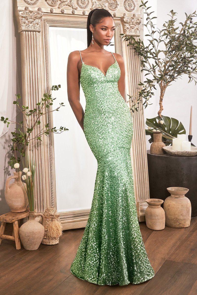 Sequin Elegance Fitted Prom Dress_LD CH066