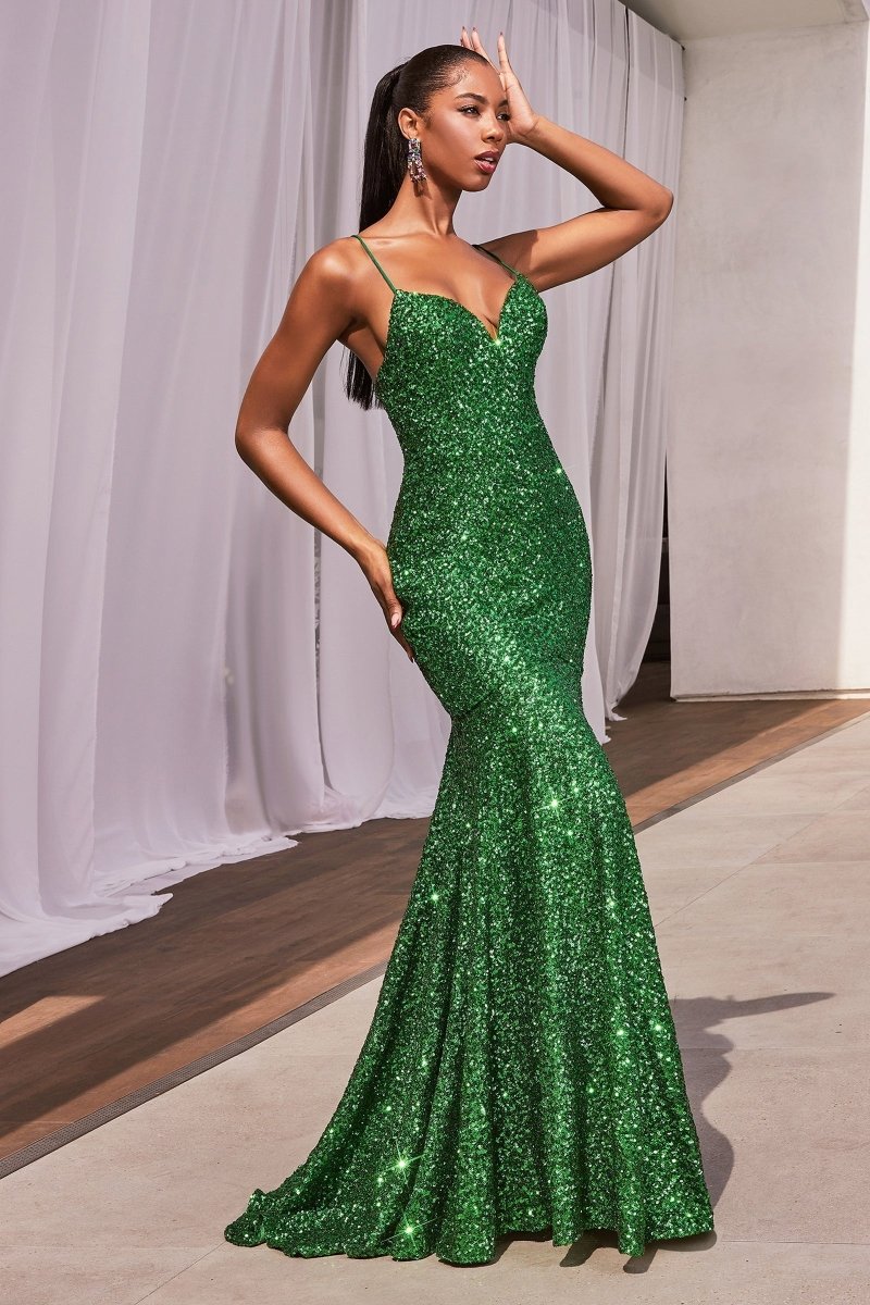 Sequin Elegance Fitted Prom Dress_LD CH066