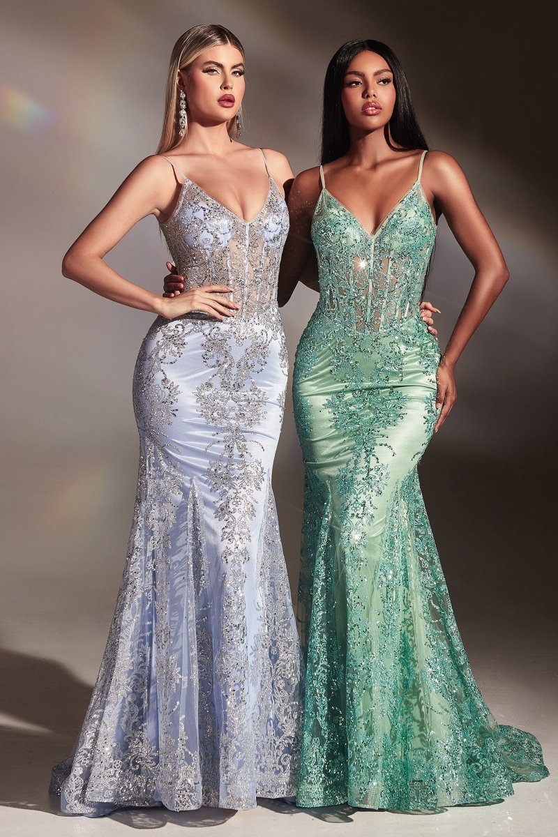 Elegant Lace Prom Evening Gown_LD J810