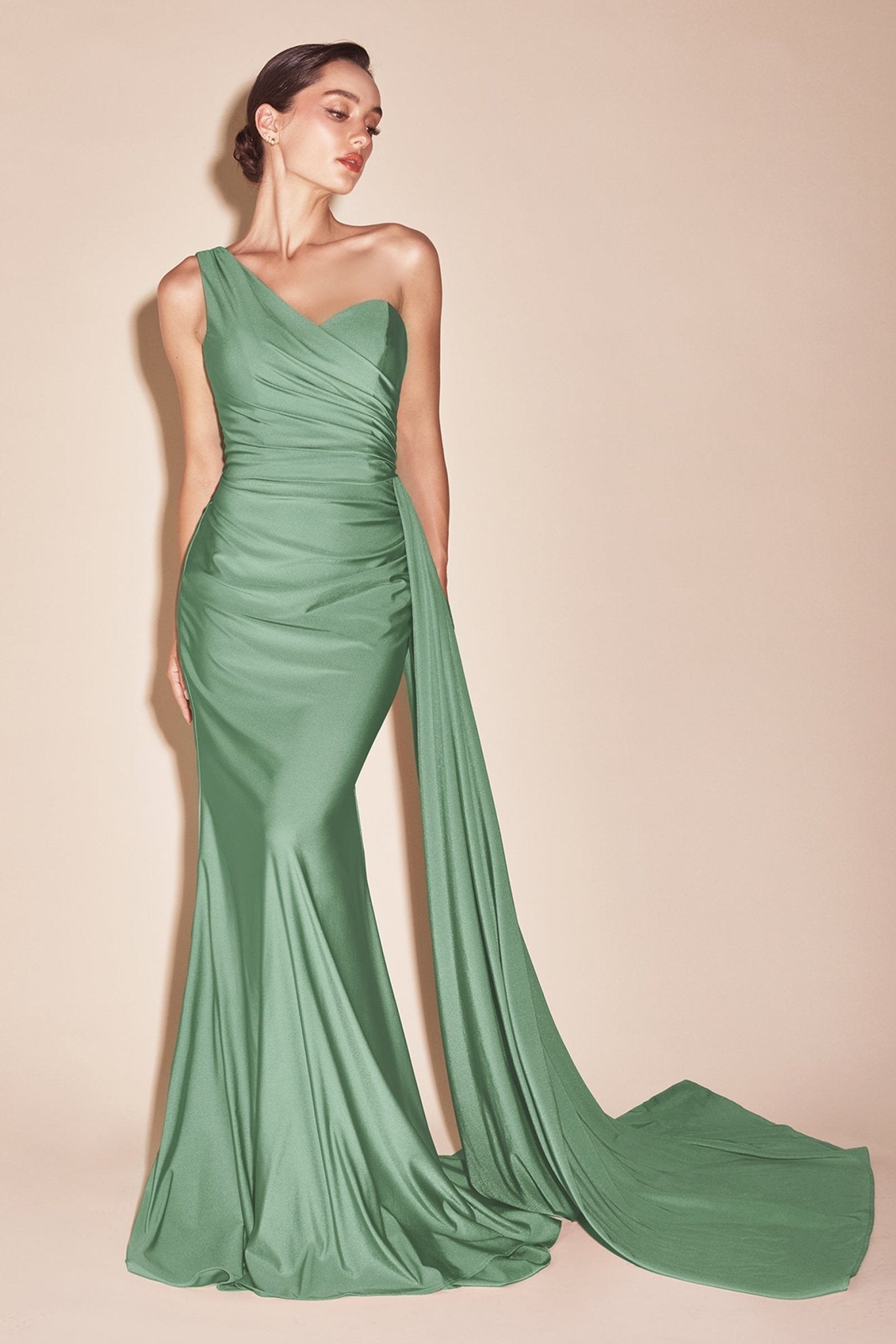 Elegant One-Shoulder Prom Dress with Train_LD PT004