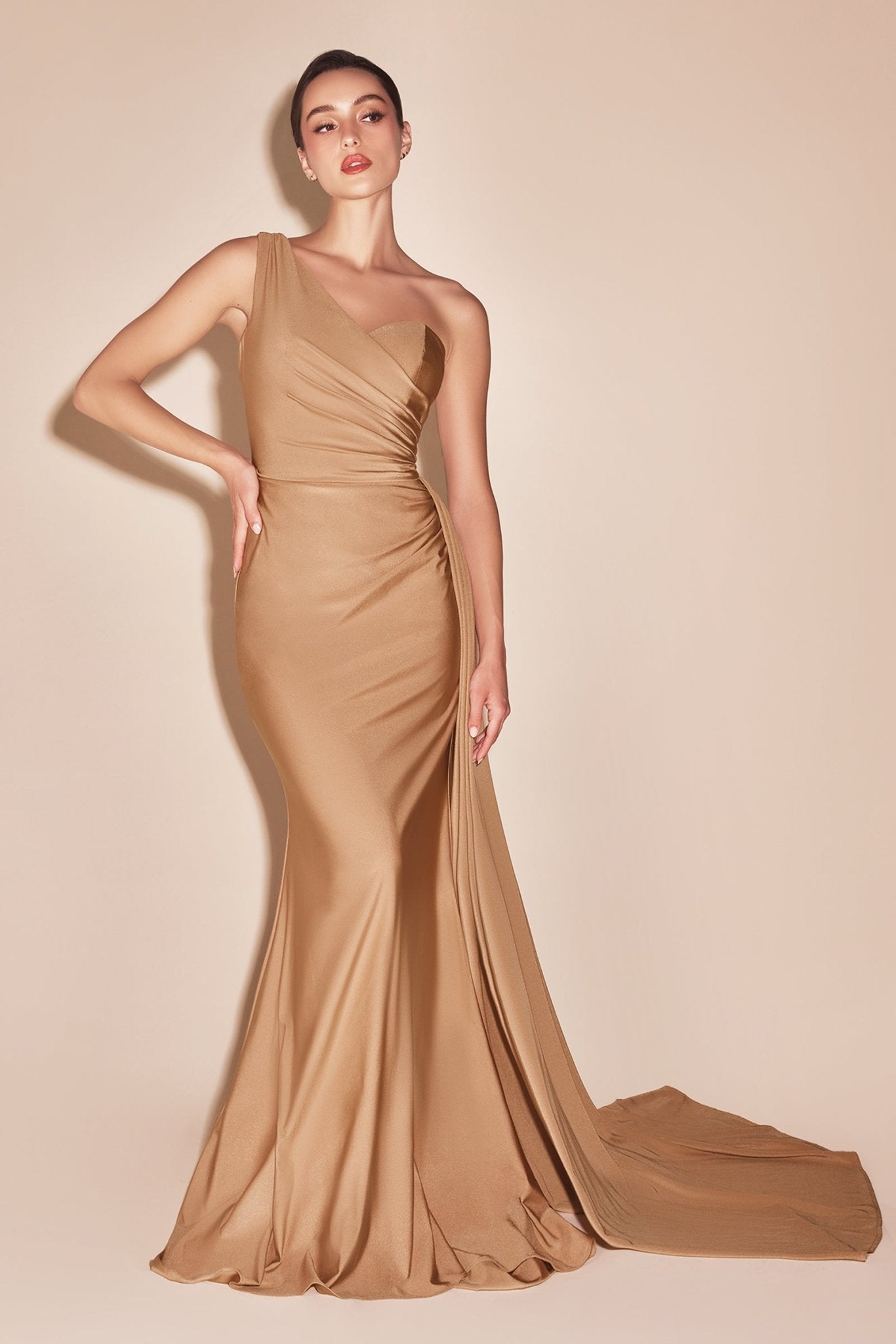 Elegant One-Shoulder Prom Dress with Train_LD PT004