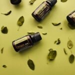 oil of oregano with black seed oil complete wellness guide benefits